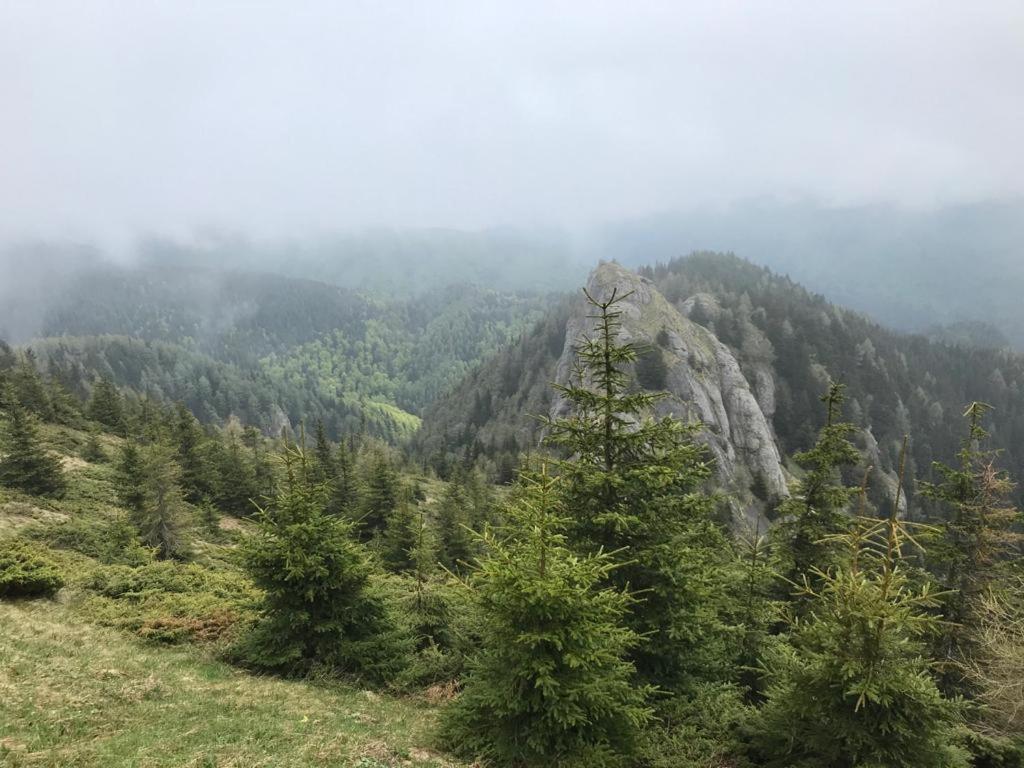 Apartament Ovo Sinaia Bagian luar foto