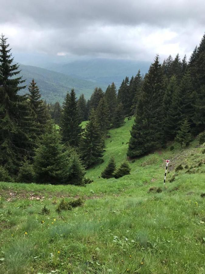 Apartament Ovo Sinaia Bagian luar foto
