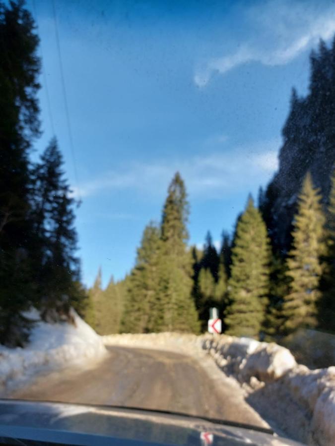 Apartament Ovo Sinaia Bagian luar foto