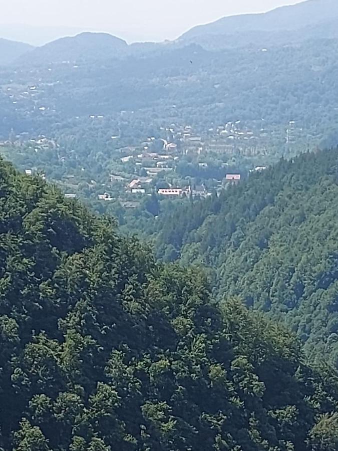 Apartament Ovo Sinaia Bagian luar foto