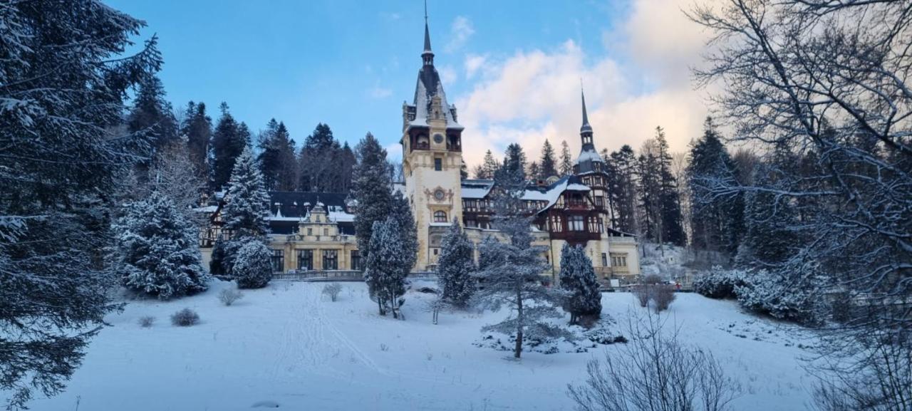 Apartament Ovo Sinaia Bagian luar foto