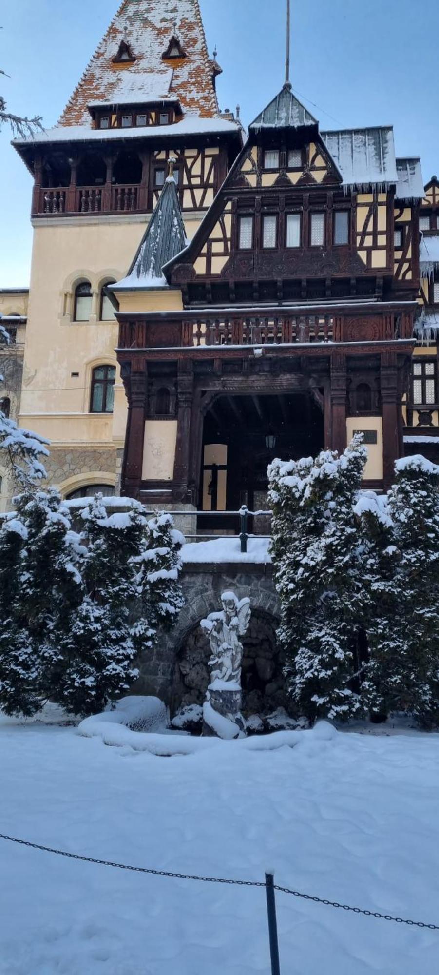 Apartament Ovo Sinaia Bagian luar foto