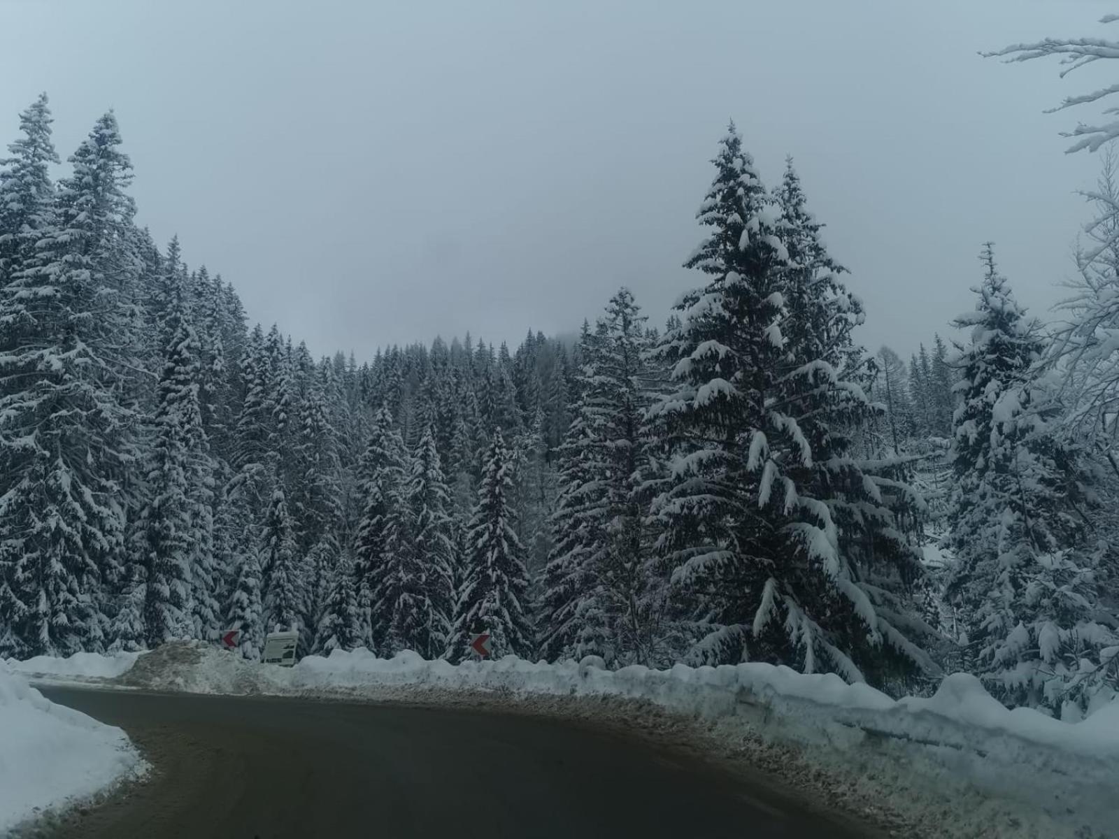 Apartament Ovo Sinaia Bagian luar foto