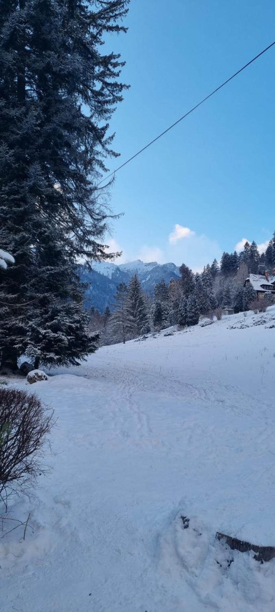 Apartament Ovo Sinaia Bagian luar foto