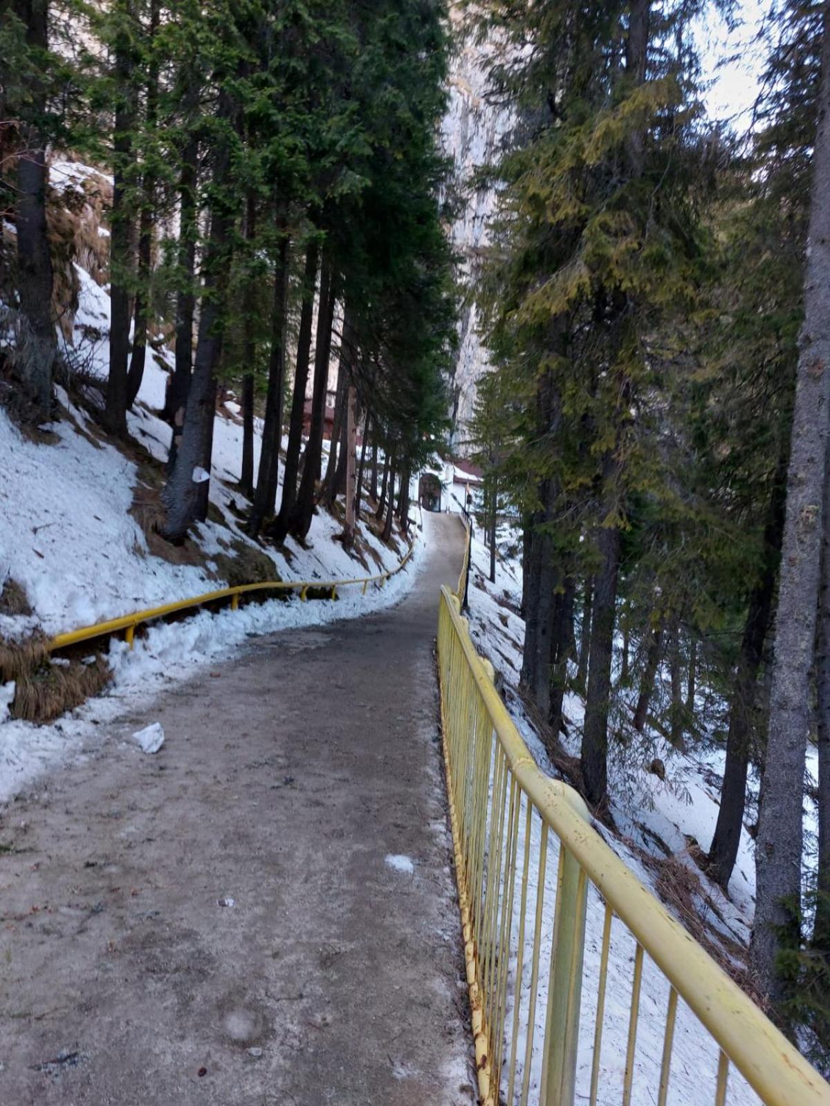 Apartament Ovo Sinaia Bagian luar foto