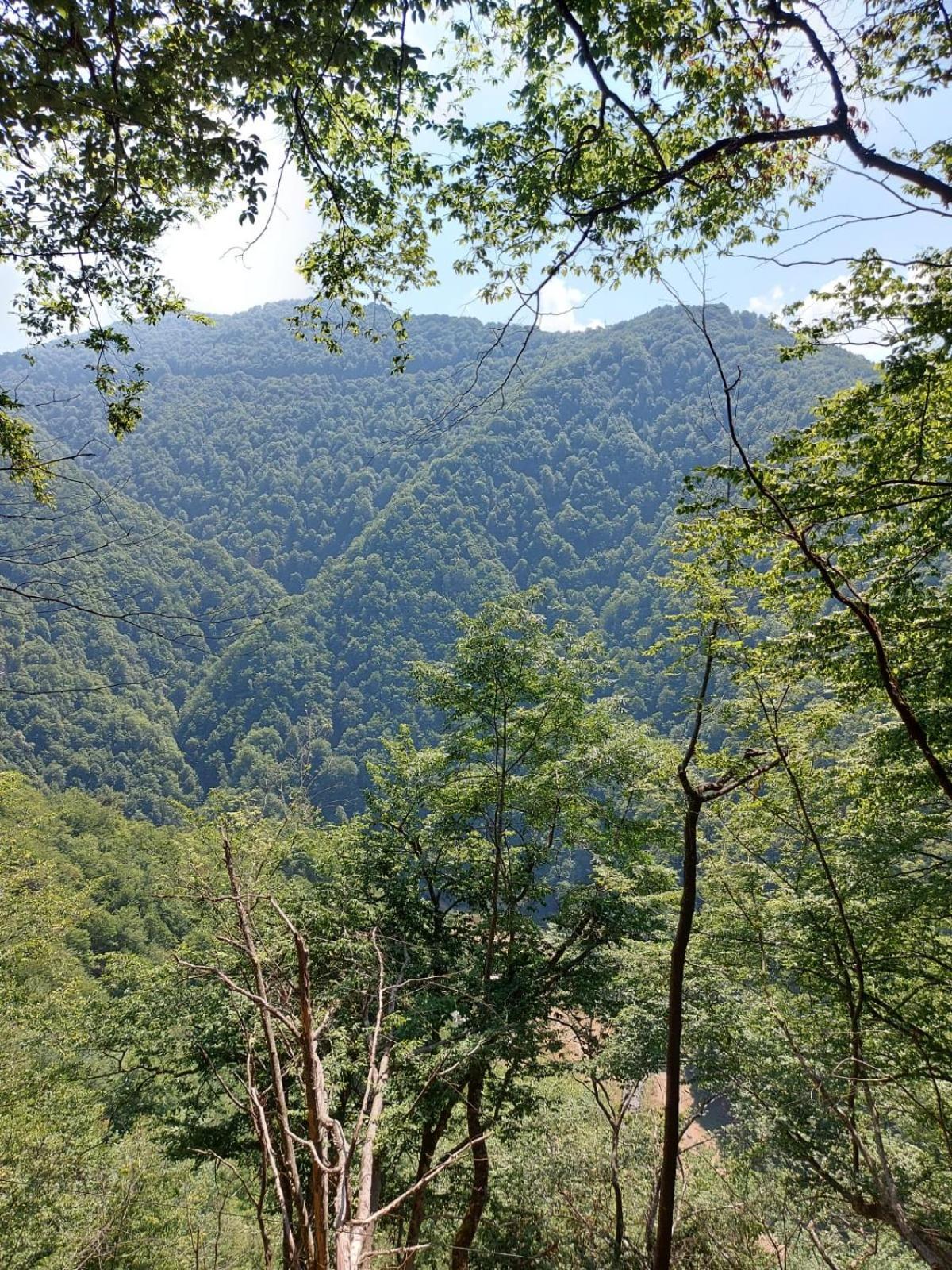 Apartament Ovo Sinaia Bagian luar foto